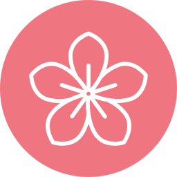 Ninfoplastia